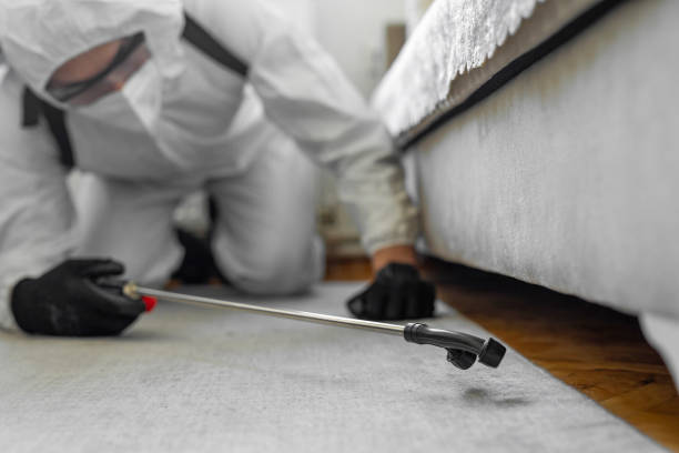 Professional Cockroach Control technician working in Oswego, IL