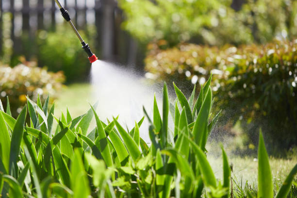 24/7 Emergency Cockroach Control experts in Oswego, IL