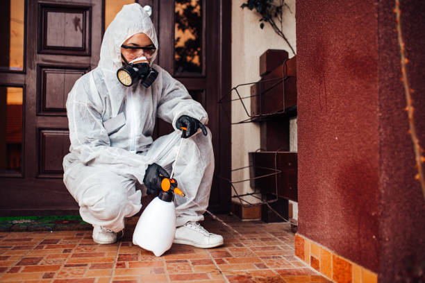 Reliable Cockroach Control contractor in Oswego, IL by Nex Pest Control