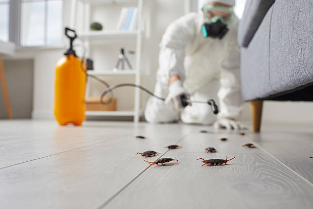 Trusted Termite Control service in Oswego, IL - Nex Pest Control